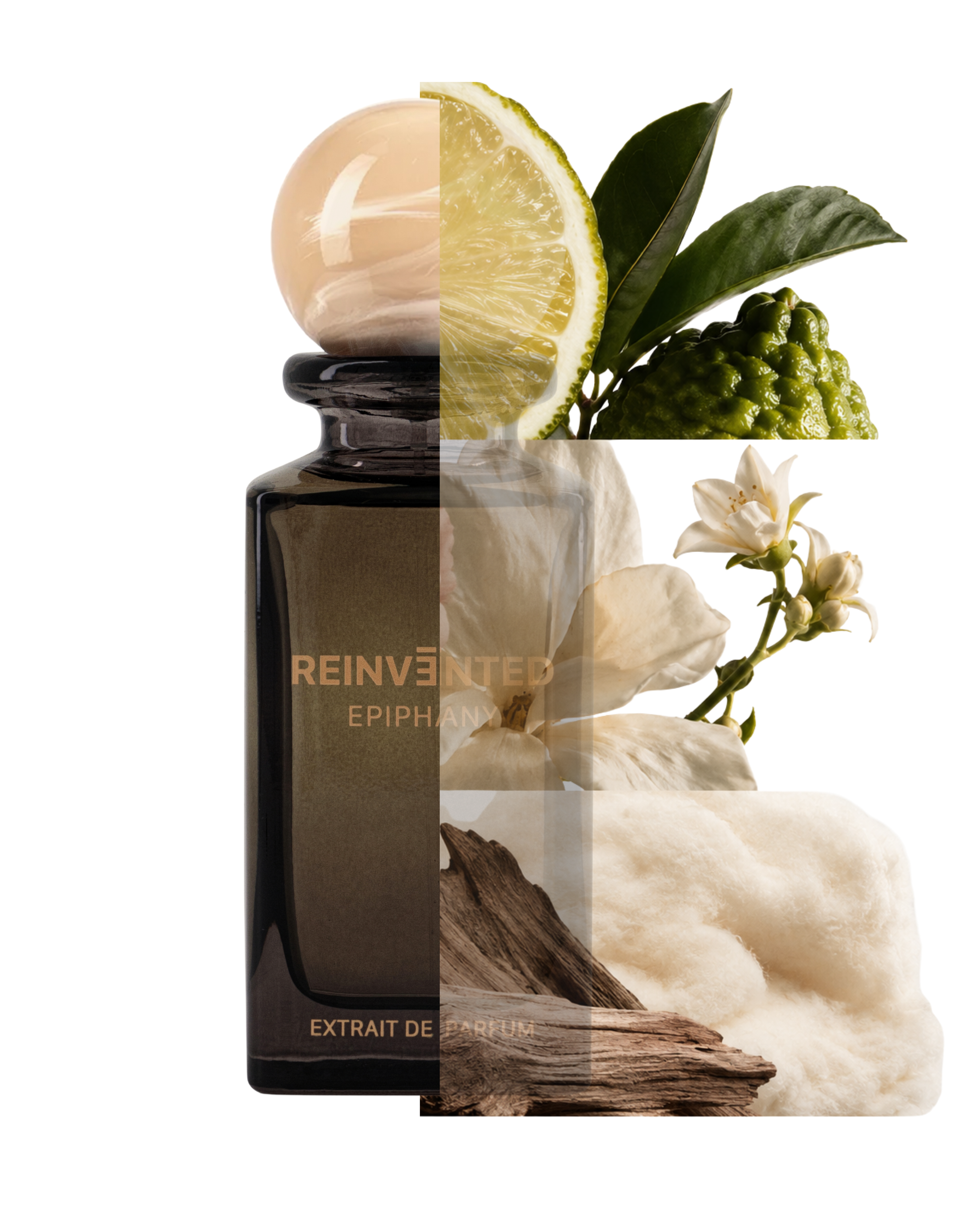 Reinvented Parfums