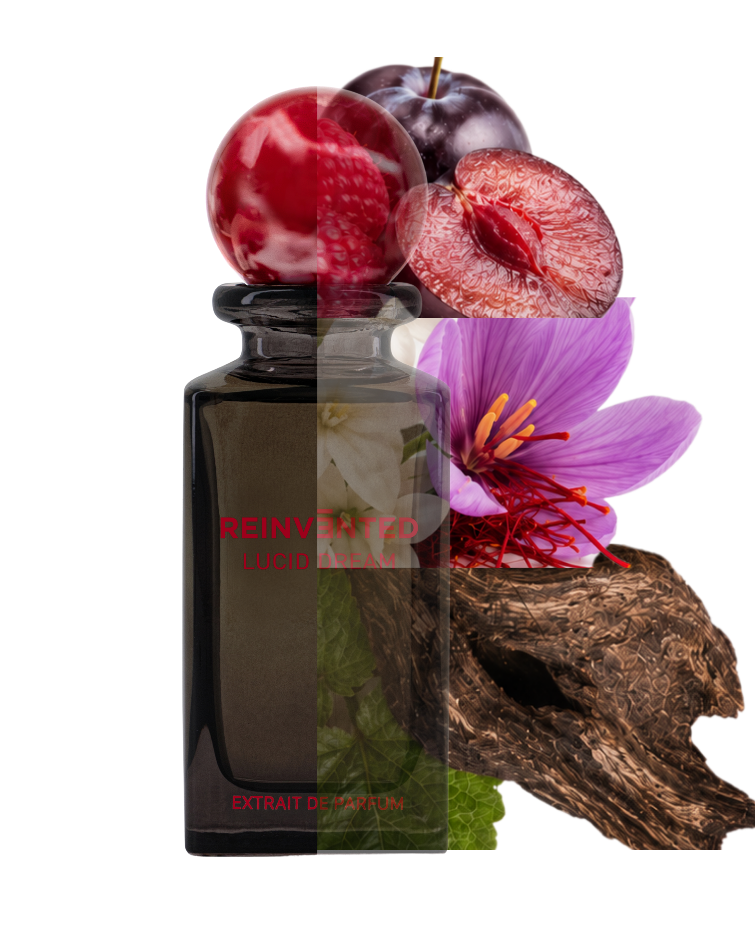 Reinvented Parfums
