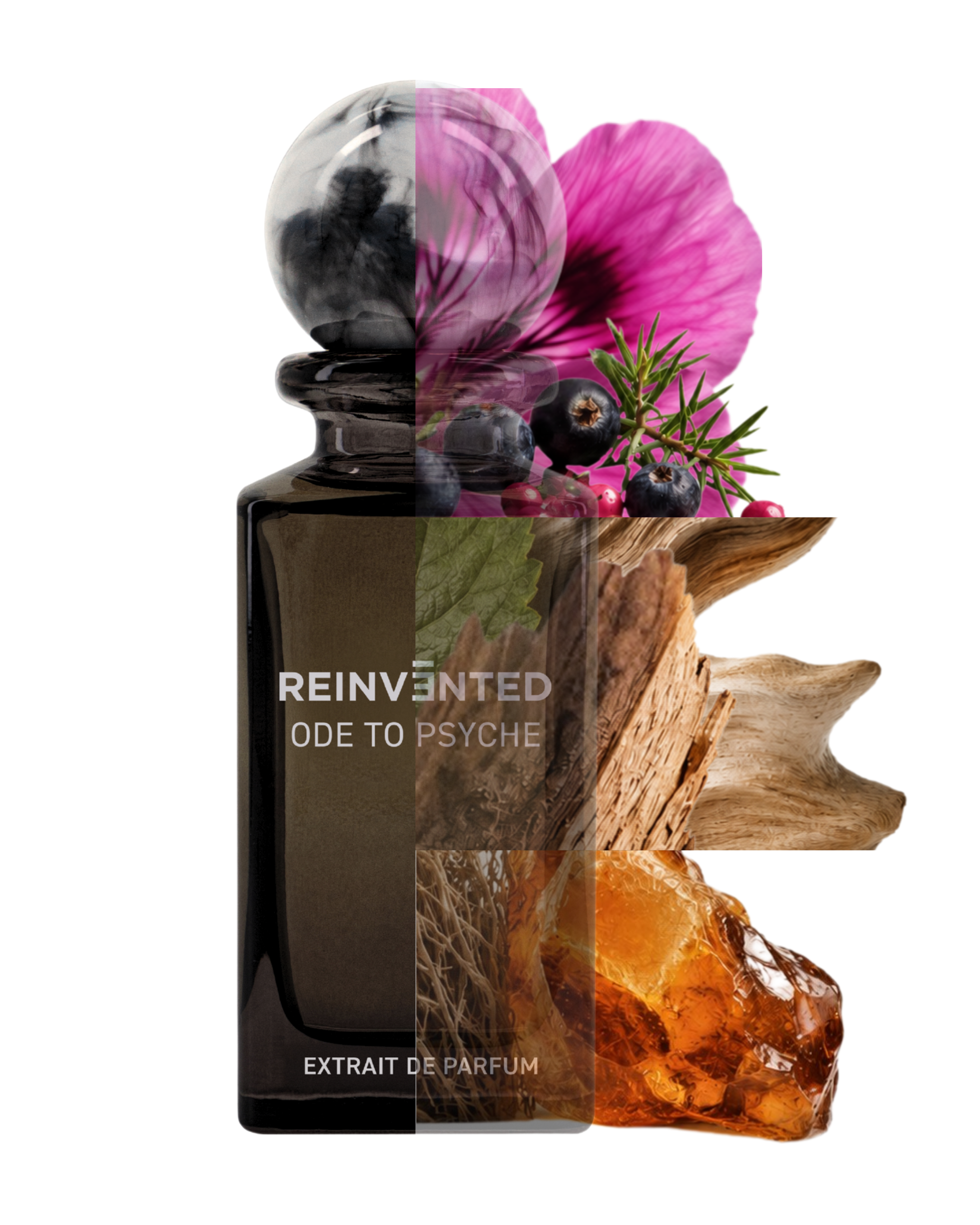 Reinvented Parfums