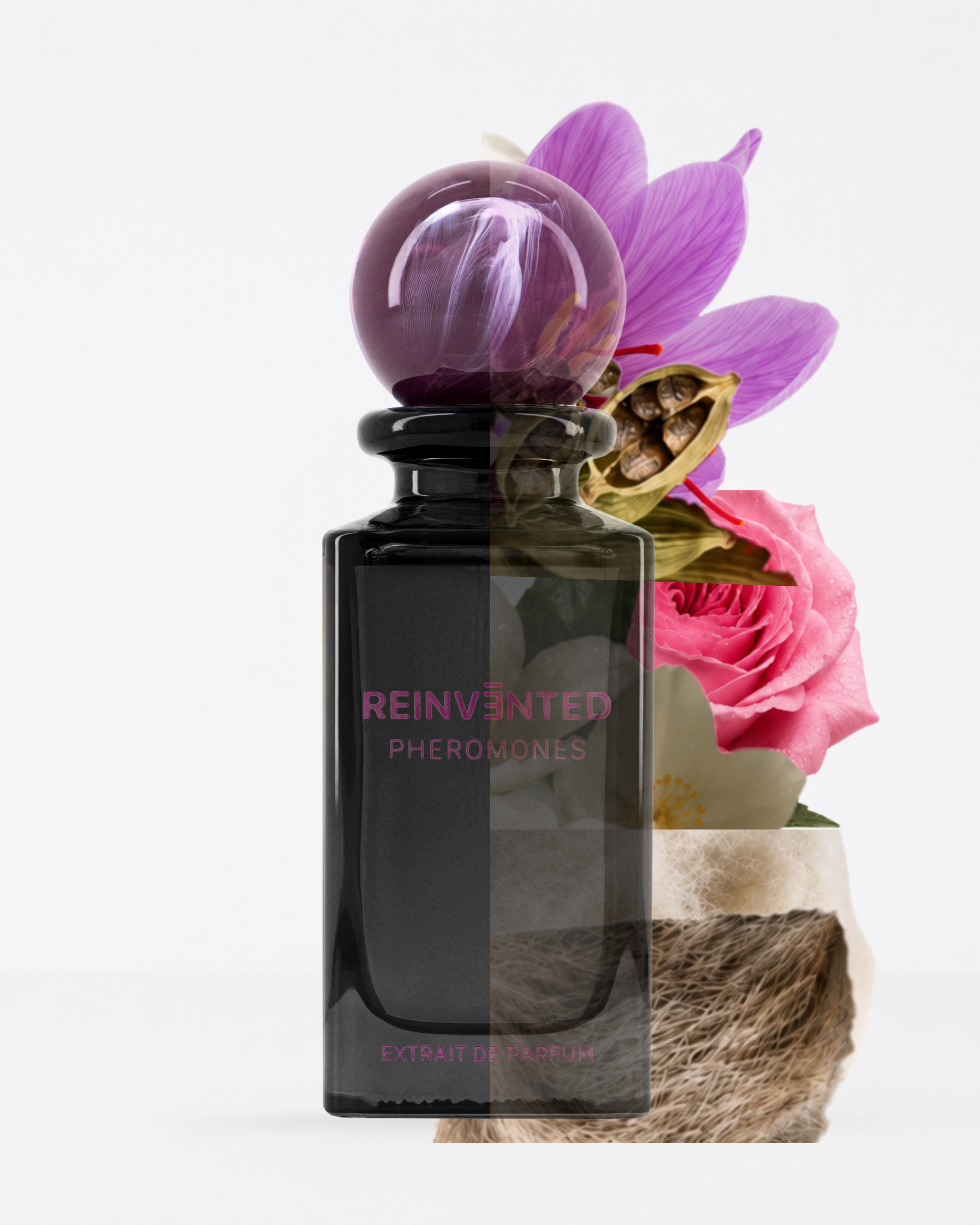 Image of Pheromones