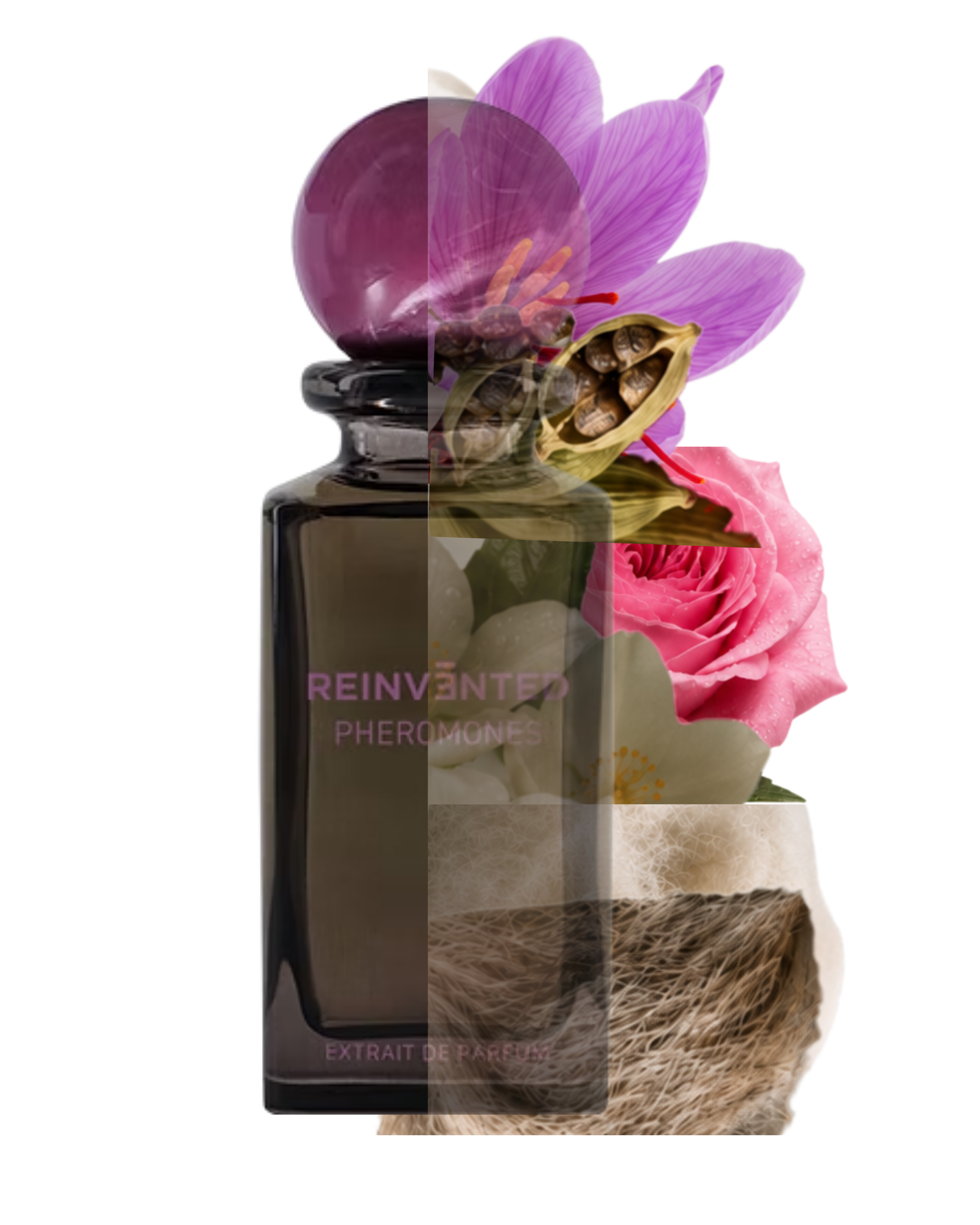 Reinvented Parfums